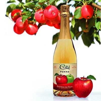 Château du Clau image 2