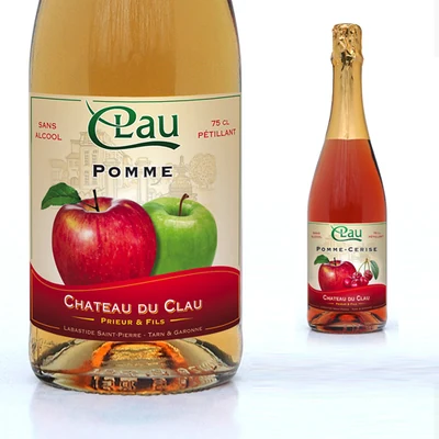 Château du Clau image 3