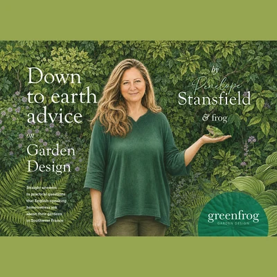 GreenFrog image 4