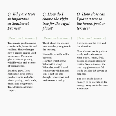 GreenFrog image 4