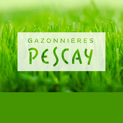 Projet d’identité de marque Pescay — DAREN Branding